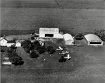 Korn Field and Farm in Jackson Center, Ohio circa 1948
