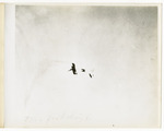 Two Airplanes in Flight, circa 1912