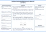 Comparison of Euthytone and Palintone Capabilities