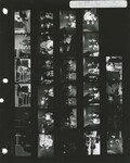 1969 Miss WSU Pageant by Wright State University, Center for Teaching & Learning and Wright State University, Office of Communications and Marketing