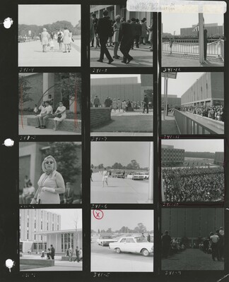image preview