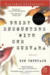 Brief Encounters with Che Guevara: Stories
