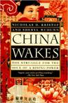 China Wakes: The Struggle for the Soul of a Rising Power by Nicholas D. Kristof and Sheryl WuDunn