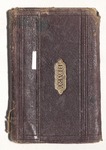 Milton Wright Diaries: 1879 by Milton Wright