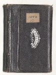 Milton Wright Diaries: 1884