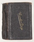 Milton Wright Diaries: 1885 by Milton Wright