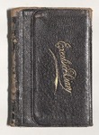 Milton Wright Diaries: 1899 by Milton Wright
