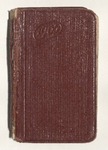 Milton Wright Diaries: 1905 by Milton Wright