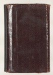 Milton Wright Diaries: 1908 by Milton Wright