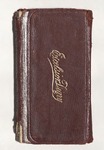 Milton Wright Diaries: 1913 by Milton Wright