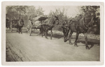 Horses Pulling Carts