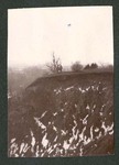 Photograph of two unidentified Miami Military Institute cadets on a distant hilltop, pretending to throw a third cadet over the side, 1904