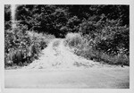 Crime Scene Photograph — End of Wooded Lane, Vance Road, Dayton Area, 1946 by Wright State University