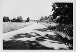 Crime Scene Photograph — Vance Road Looking North, Dayton Area, 1946 by Wright State University