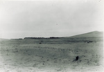 View of sand dunes near Kitty Hawk
