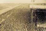 Spectators at Belmont Park by Edwin Levick