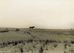 View of Wright Brothers 1900 camp site by Reid