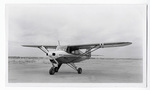 Piper PA-22 by William F. Yeager