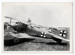 Albatros D II by William F. Yeager