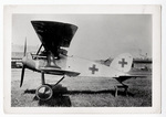 Albatros D X by William F. Yeager