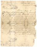 Letter from William Patterson to his mother Julia on August 10, 1864