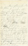 Letter from Stephen Patterson to his brother John written June 29, 1865 by Stephen Patterson