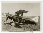 Curtiss Wildcat