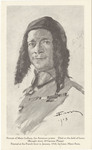 Portrait Illustration of Major Raoul Lufbery