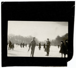 Group of people skating and walking