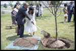 Japanese Delegation Tree Planting by The Center for Teaching and Learning